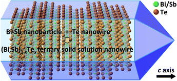 Graphical abstract: Study on formation mechanism and ligand-directed architectural control of nanoparticles composed of Bi, Sb and Te: towards one-pot synthesis of ternary (Bi,Sb)2Te3 nanobuilding blocks