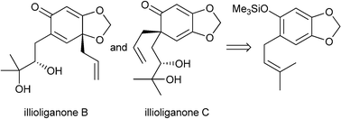 Graphical abstract: An oxidative Hosomi-Sakurai strategy toward the synthesis of illioliganones B and C