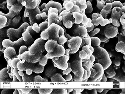 Graphical abstract: Photocatalytic degradation of linuron in aqueous suspensions of TiO2