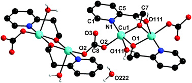 Graphical abstract: Varying structural motifs in oxyanions (NO3−, CO32−) and phenoxyacetate (PhOAc−) bridged coordination polymers derived from alkoxo-bridged dicopper building blocks with {Cu2O2} core