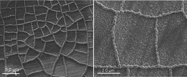 Graphical abstract: Electrochemical synthesis of large-area cobalt microparticle chain networks on Ni thin layer and their template applications