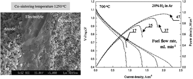 Graphical abstract: Low temperature densification process of solid-oxide fuel cell electrolyte controlled by anode support shrinkage