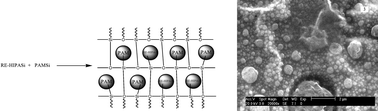 Graphical abstract: Sol–gel preparation, microstructure and luminescence of rare earth/silica/polyacrylamide hybrids through double functionalized covalent Si–O linkage