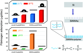 Graphical abstract: The synergistic effects of stimuli-responsive polymers with nano- structured surfaces: wettability and protein adsorption