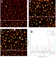 Graphical abstract: Temperature-dependent adsorption of cellulose ethers on silica and hydrophobized silica immersed in aqueous polymer solution