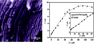 Graphical abstract: Hydrophilic porous carbon with tailored nanostructure and its sensitive hydrogen peroxide biosensor