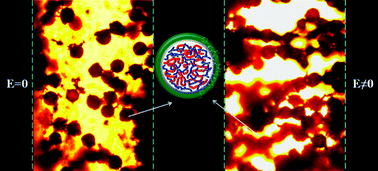 Graphical abstract: Well controlled core/shell type polymeric microspheres coated with conducting polyaniline: fabrication and electrorheology