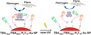 Graphical abstract: Highly flexible and stable aptamer-caged nanoparticles for control of thrombin activity