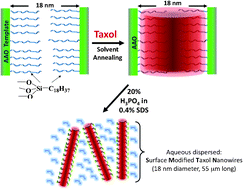 Graphical abstract: Fabrication of biologically active surface-modified Taxol nanowires using anodic aluminum oxide templates