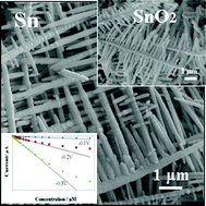 Graphical abstract: Synthesis of tin nanodendrites via galvanic replacement reaction and their thermal conversion to nanodendritic tin oxide for ultrasensitive electrochemical sensing