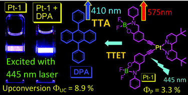 Graphical abstract: BF2-bound chromophore-containing N⁁NPt(ii) bisacetylide complex and its application as sensitizer for triplet–triplet annihilation based upconversion