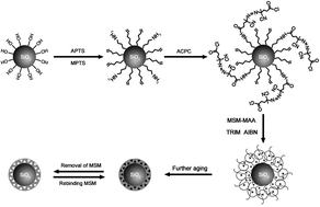 Graphical abstract: An efficient hybrid design to prepare highly dense imprinted layer-coated silica particles for selective uptake of trace metsulfuron-methyl from complicated matrices