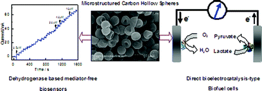 Graphical abstract: Electrocatalytic activity of carbon spheres towards NADH oxidation at low overpotential and its applications in biosensors and biofuel cells