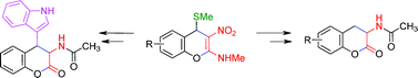 Graphical abstract: Synthesis of lactones of ortho-tyrosine, DOPA isomers and tryptophan-ortho-tyrosine hybrid amino acids