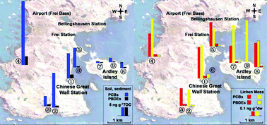 Graphical abstract: PCBs and PBDEs in environmental samples from King George Island and Ardley Island, Antarctica