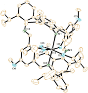 Graphical abstract: Alkoxides of group 4 metals containing the bis(imino)phenoxide ligand: synthesis, structural characterization and polymerization studies