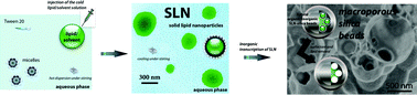 Graphical abstract: Solid lipid nanoparticles (SLN) templating of macroporous silica beads