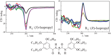 Graphical abstract: Self-assembly of chiral hexacatenar-bisamides into a columnar structure