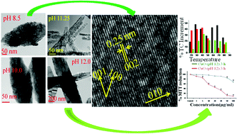 Graphical abstract: Growth morphologies, phase formation, optical & biological responses of nanostructures of CuO and their application as cooling fluid in high energy density devices