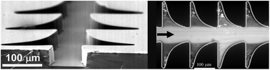 Graphical abstract: High performance microfluidic rectifiers for viscoelastic fluid flow