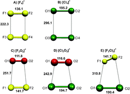 Graphical abstract: Investigation of heterodimeric and homodimeric radical cations of the series: [F2O2]+, [F2Cl2]+, [Cl2O2]+, [F4]+, and [Cl4]+