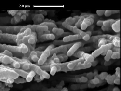 Graphical abstract: The electroless nickel plating of catalytically graphitized electrospun carbon nanofibers