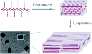 Graphical abstract: Self-assembly of two-dimensional nanostructures of linear regioregular poly(3-hexylthiophene)