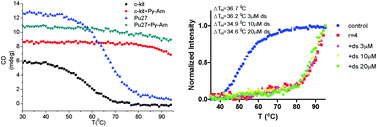 Graphical abstract: A pyridyl carboxamide molecule selectively stabilizes DNA G-quadruplex and regulates duplex–quadruplex competition