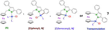 Graphical abstract: Platinum(ii) and palladium(ii) complexes derived from 1-ferrocenylmethyl-3,5-diphenylpyrazole. Coordination, cyclometallation or transannulation?