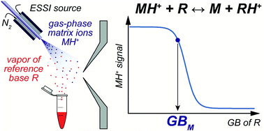 Graphical abstract: Gas-phase basicity of several common MALDI matrices measured by a simple experimental approach