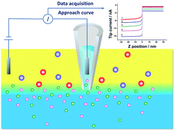 Graphical abstract: Probing the structure of a water/nitrobenzene interface by scanning ion conductance microscopy