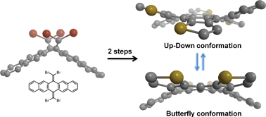 Graphical abstract: Shape-shifting in contorted dibenzotetrathienocoronenes