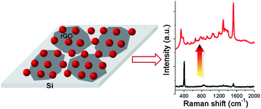 Graphical abstract: Surface enhanced Raman scattering of Ag or Au nanoparticle-decorated reduced graphene oxide for detection of aromatic molecules