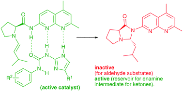 Graphical abstract: Synthesis of organocatalysts using non-covalent chemistry; understanding the reactivity of ProNap, an enamine-type organocatalyst that can self assemble with complementary co-catalysts