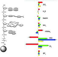 Graphical abstract: DNA polyfluorophores as highly diverse chemosensors of toxic gases