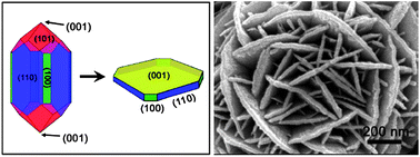 Graphical abstract: Unusual rutileTiO2 nanosheets with exposed (001) facets