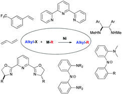 Graphical abstract: Nickel-catalyzed cross coupling of non-activated alkyl halides: a mechanistic perspective