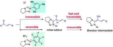 Graphical abstract: The effect of the N-mesityl group in NHC-catalyzed reactions