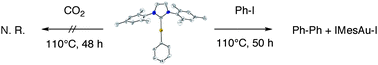 Graphical abstract: Reactivity of NHC Au(i)–C σ-bonds with electrophiles. An investigation of their possible involvement in catalytic C–C bond formation