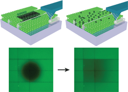 Graphical abstract: Dip-pen nanolithography of optically transparent cationic polymers to manipulate spatial organization of proteolipid membranes