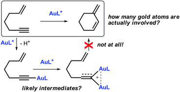 Graphical abstract: Tracking gold acetylides in gold(i)-catalyzed cycloisomerization reactions of enynes