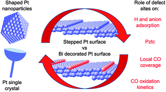 Graphical abstract: Role of surface defect sites: from Pt model surfaces to shape-controlled nanoparticles