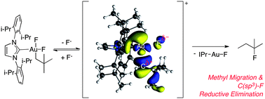 Graphical abstract: C(sp3)–F reductive elimination from alkylgold(iii) fluoride complexes