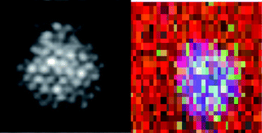 Graphical abstract: Selective liquid phase oxidation with supported metal nanoparticles