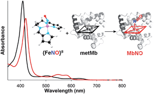 Graphical abstract: A thermally stable {FeNO}8 complex: properties and biological reactivity of reduced MNO systems