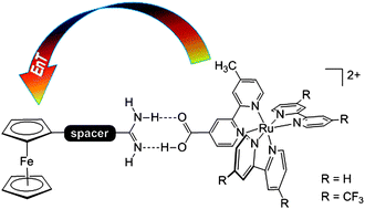 Graphical abstract: Energy transfer mediated by asymmetric hydrogen-bonded interfaces