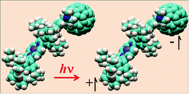 Graphical abstract: Long-lived long-distance photochemically induced spin-polarized charge separation in β,β′-pyrrolic fused ferrocene-porphyrin-fullerene systems