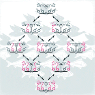 Graphical abstract: Solvent effects on chelate cooperativity