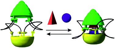 Graphical abstract: A dissymmetric molecular capsule with polar interior and two mechanically locked hemispheres