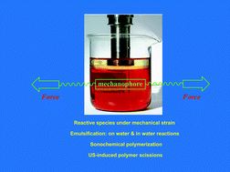 Graphical abstract: Harnessing mechanochemical effects with ultrasound-induced reactions